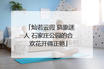 灿若云霞 旖旎迷人 石家庄公园的合欢花开得正艳